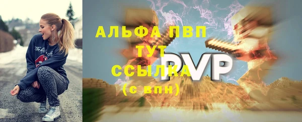 индика Горнозаводск