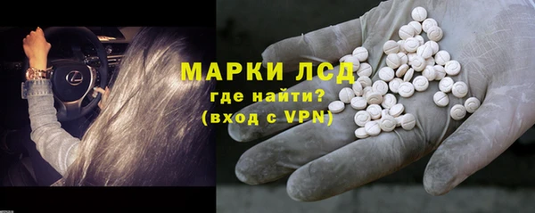 индика Горнозаводск