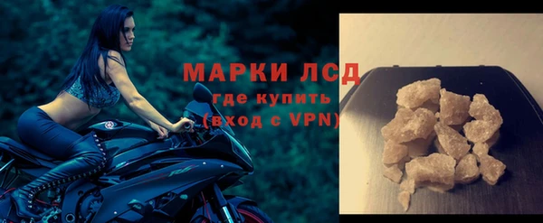 индика Горнозаводск