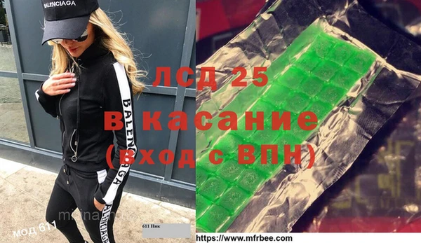 индика Горнозаводск