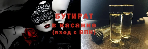 индика Горнозаводск