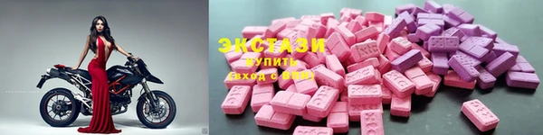 индика Горнозаводск