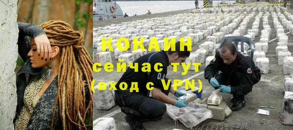 индика Горнозаводск