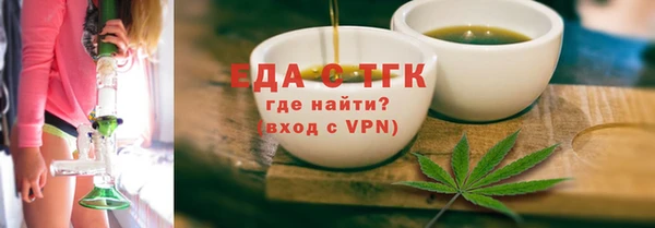 индика Горнозаводск