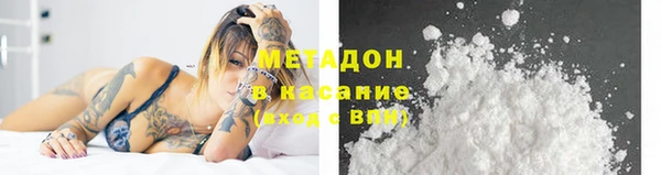 индика Горнозаводск