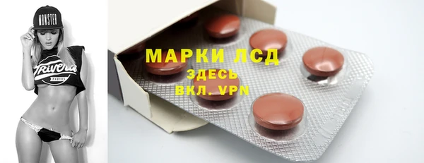 индика Горнозаводск