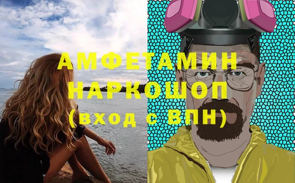 индика Горнозаводск
