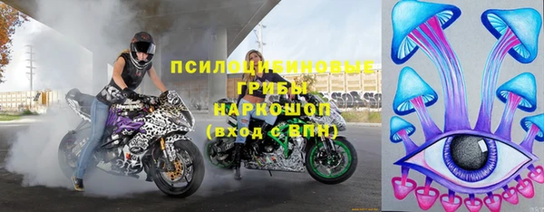 амф Гусь-Хрустальный