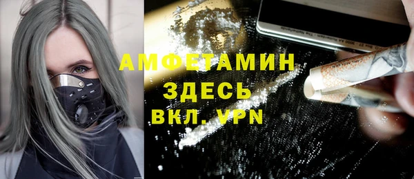 индика Горнозаводск